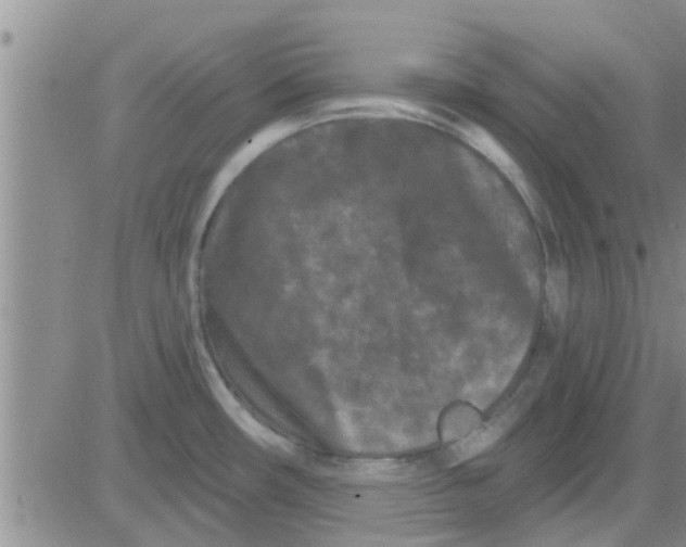 X0000082711482200702232243