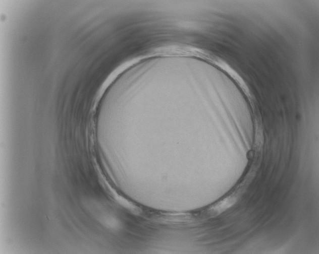 X0000082711486200702232243