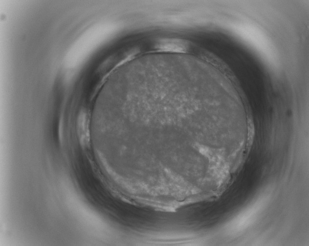 X0000082711487200702232243