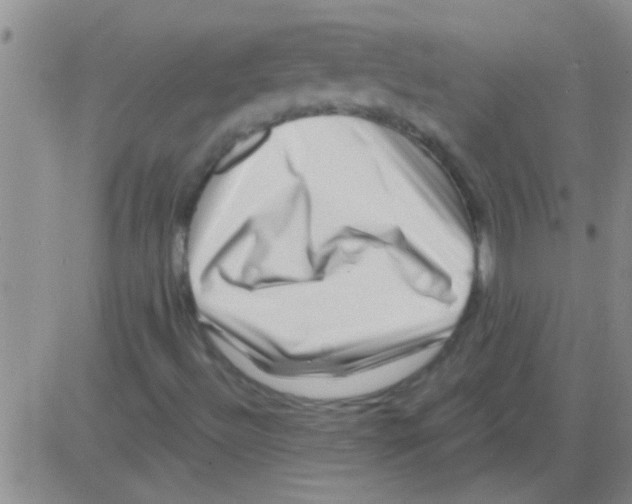 X0000082711492200702232242