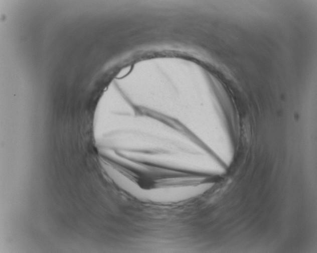 X0000082711494200702232242