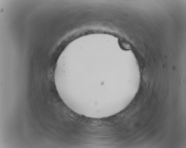 X0000082711495200702232242