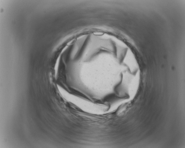 X0000082711496200702232242