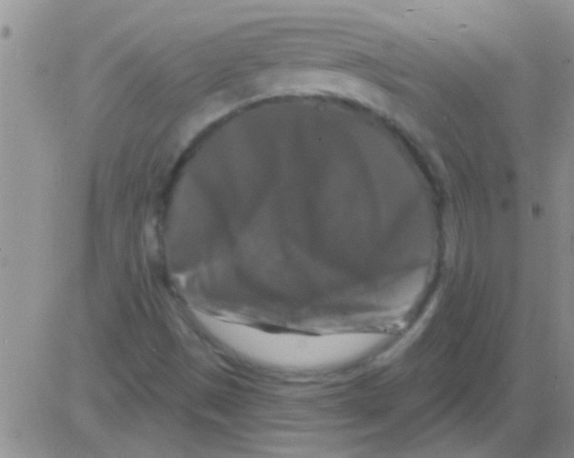 X0000082711497200702232242