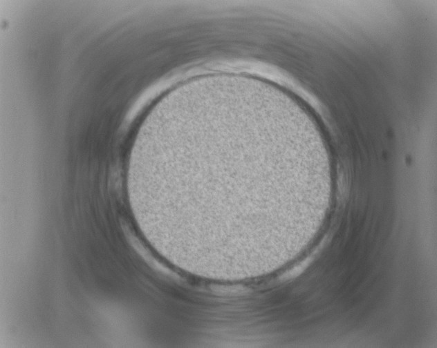 X0000082711498200702232242