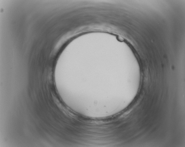 X0000082711499200702232242