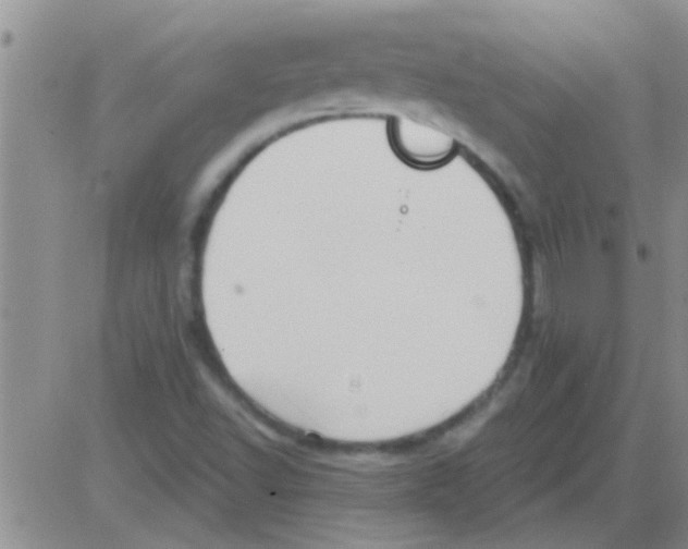 X0000082711502200702232242