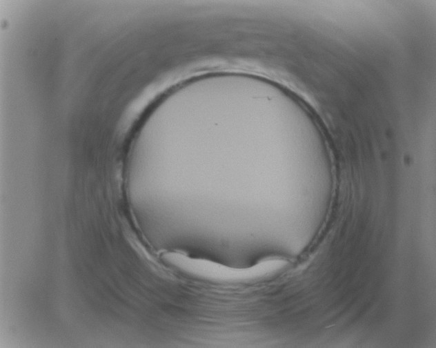 X0000082711503200702232242