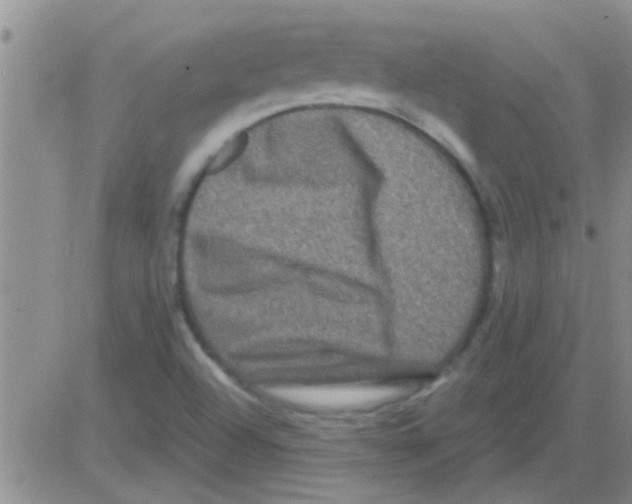 X0000082711504200702232242