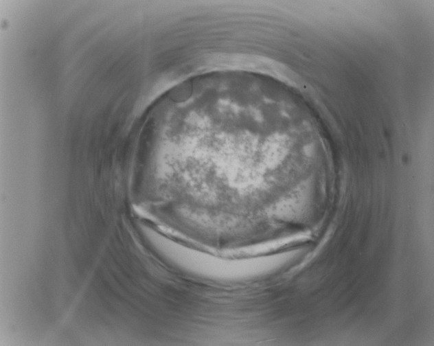 X0000082711505200702232242