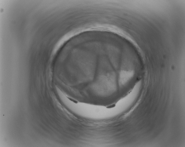 X0000082711506200702232242