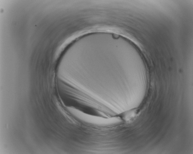 X0000082711507200702232242