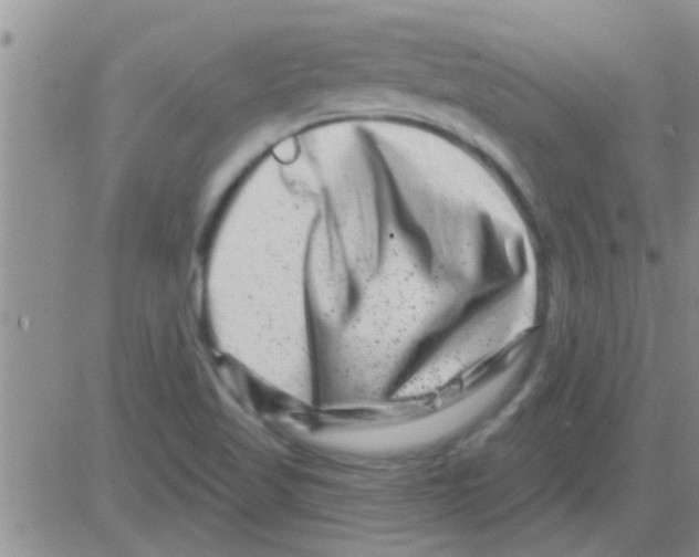 X0000082711509200702232242