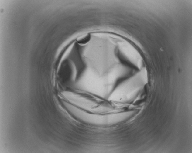 X0000082711510200702232242