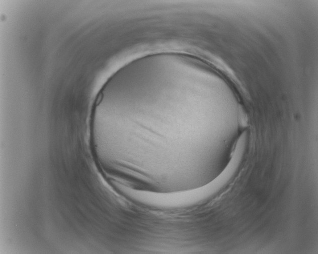 X0000082711512200702232243