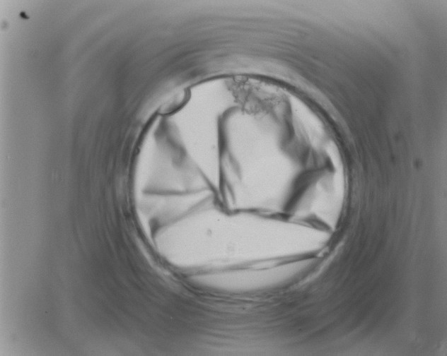 X0000082711513200702232243