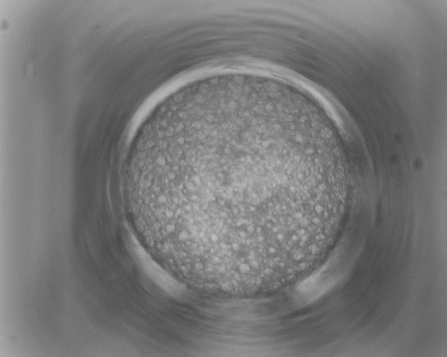 X0000082711514200702232243