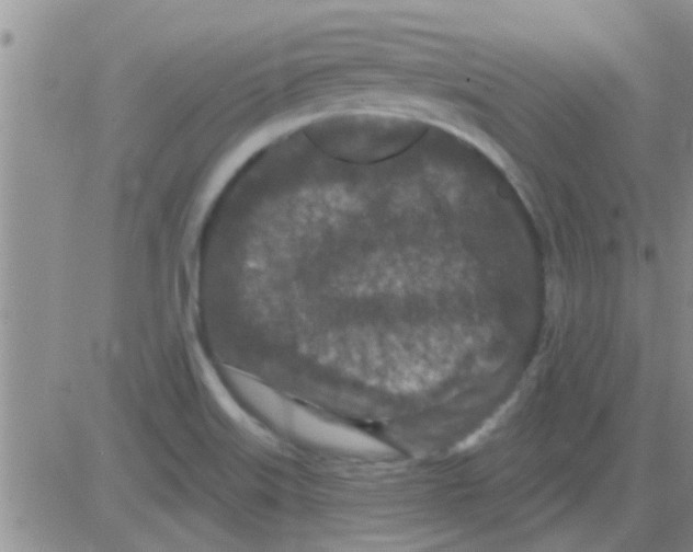 X0000082711515200702232243