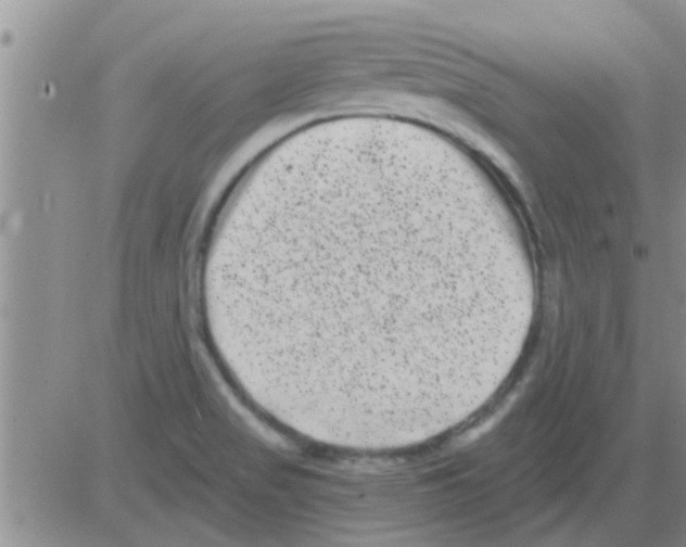 X0000082711517200702232243