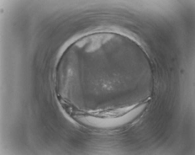 X0000082711519200702232243