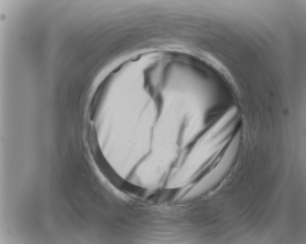 X0000082711520200702232243