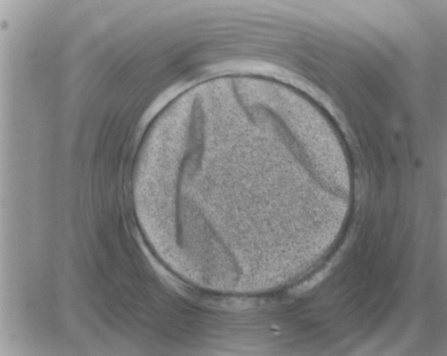 X0000082711521200702232243