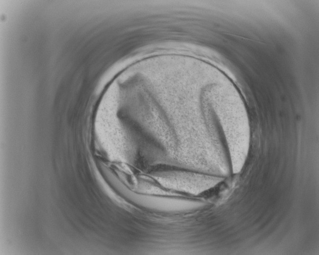 X0000082711523200702232243