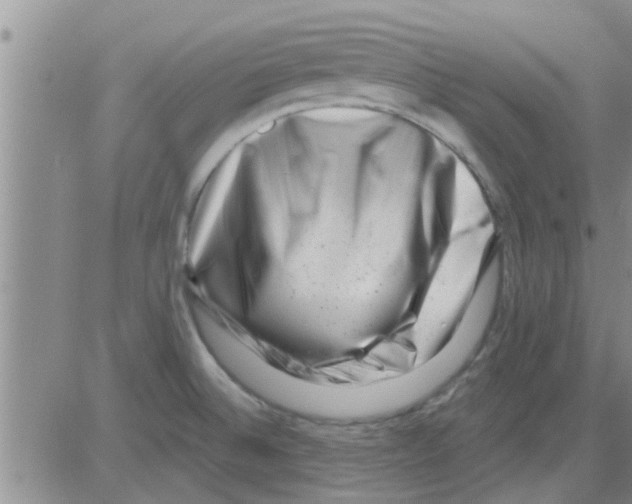 X0000082711524200702232243