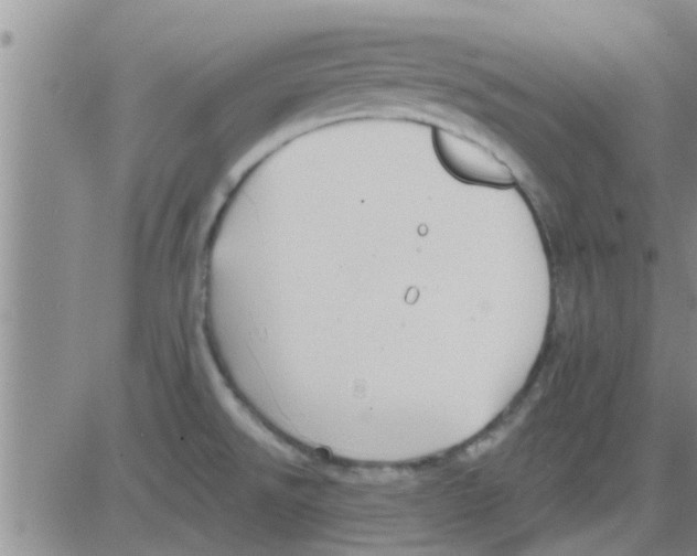 X0000082711526200702232243