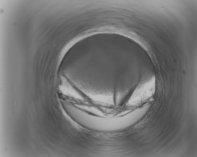 X0000082711527200702232243