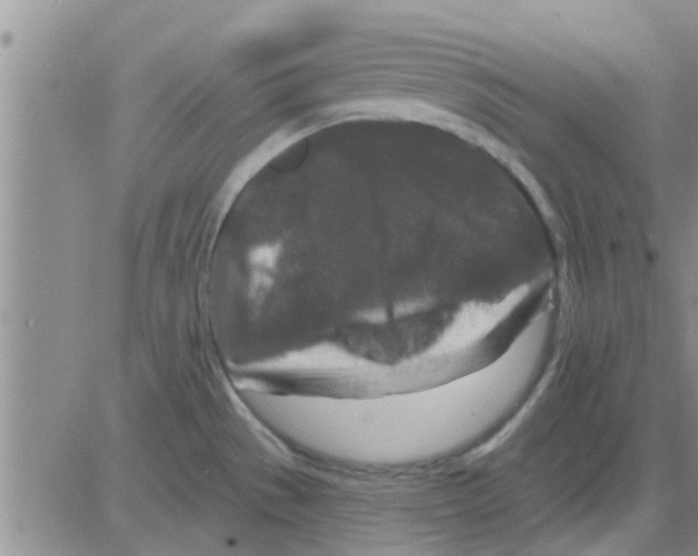 X0000082711529200702232243