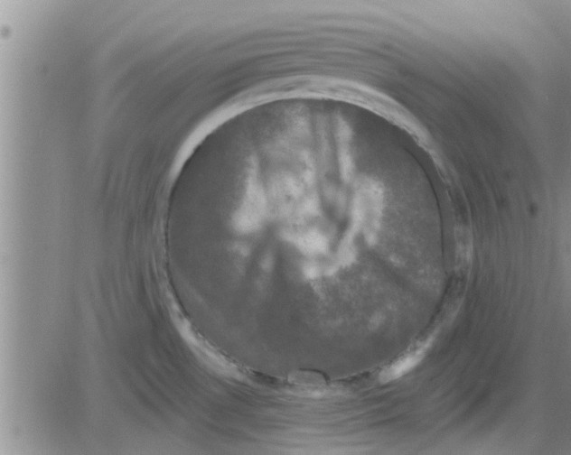 X0000082711530200702232243