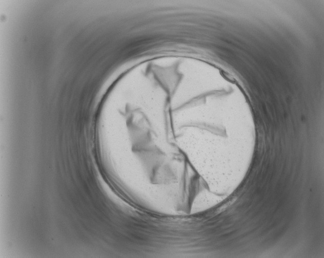 X0000082711531200702232243