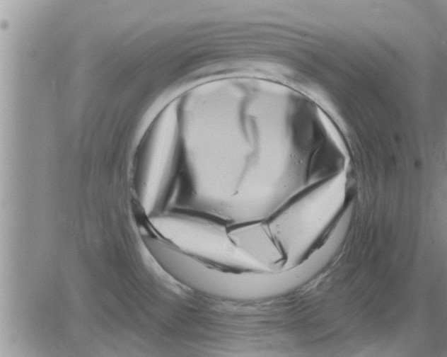 X0000082711532200702232243