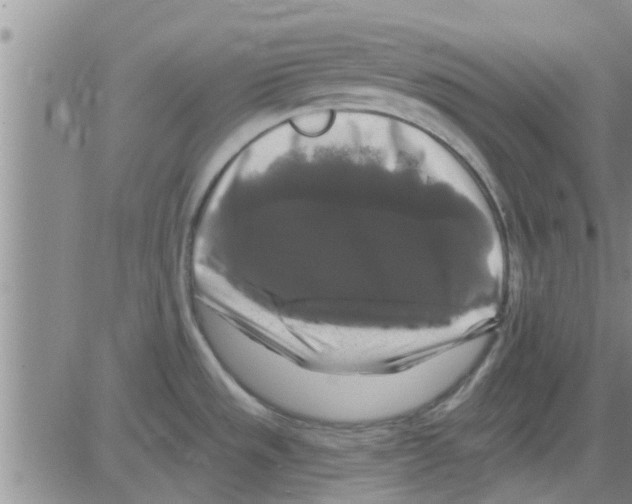 X0000082711533200702232243