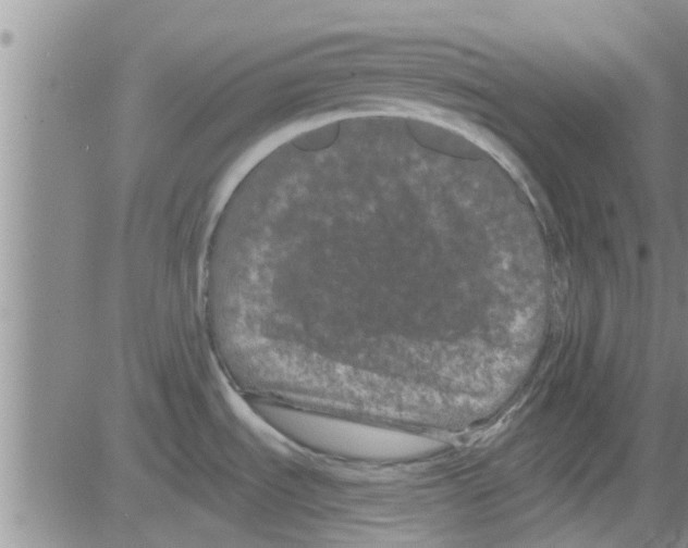 X0000082711535200702232243