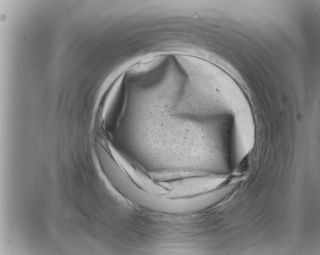 X0000082711536200702232243