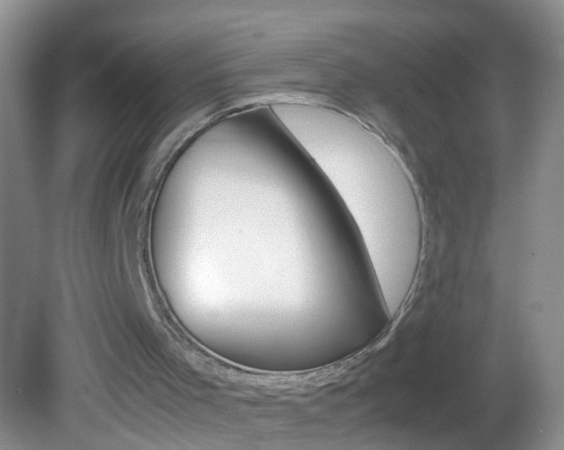 X0000082720001200701261042