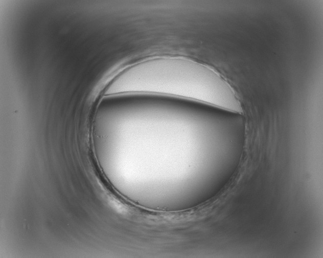 X0000082720005200701261042