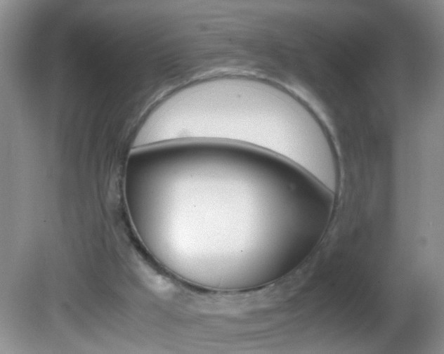 X0000082720009200701261042