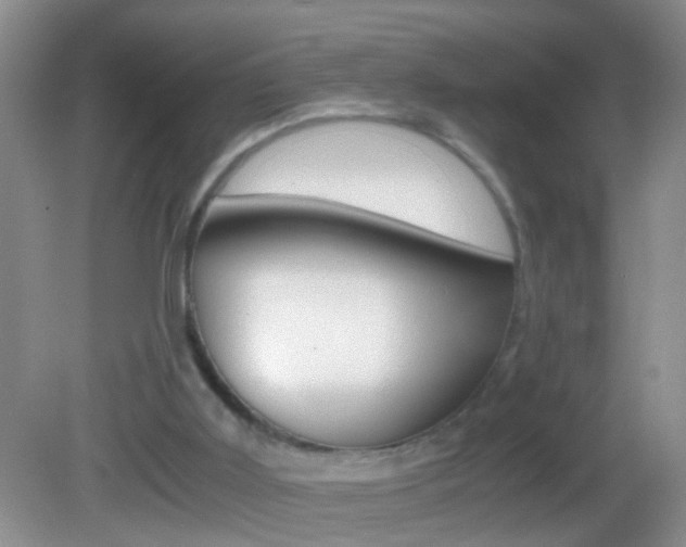 X0000082720011200701261042
