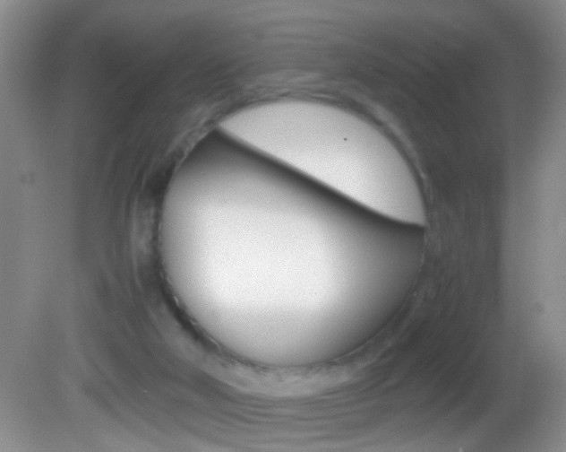 X0000082720018200701261041
