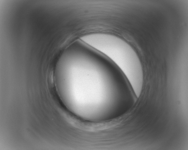 X0000082720021200701261041