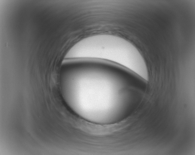 X0000082720035200701261041