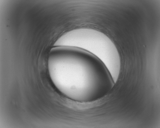 X0000082720039200701261041