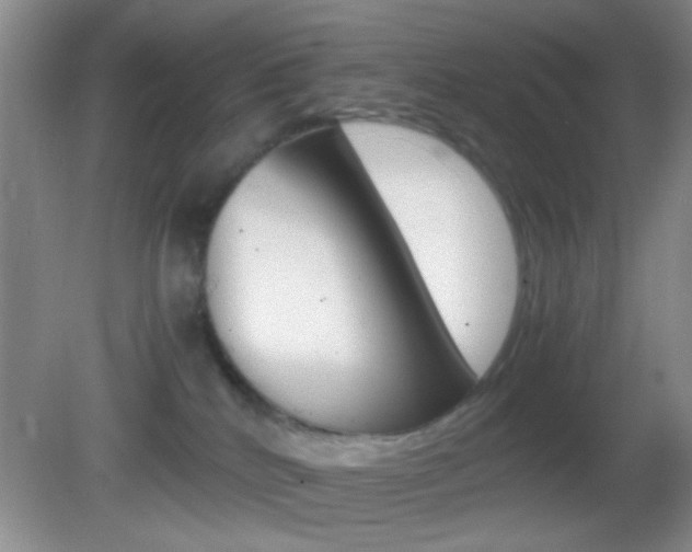 X0000082720040200701261041