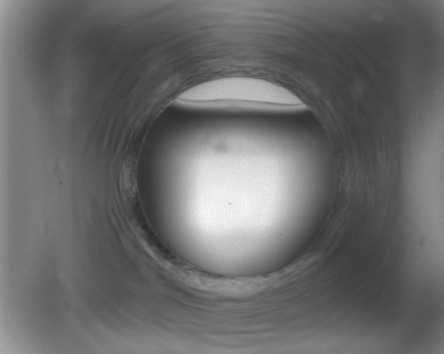 X0000082720044200701261041