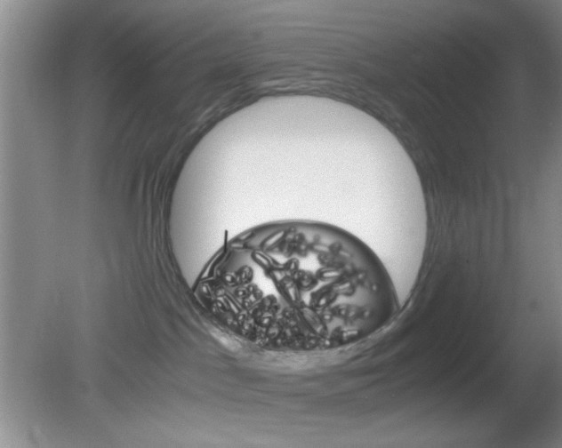 X0000082720045200701261041
