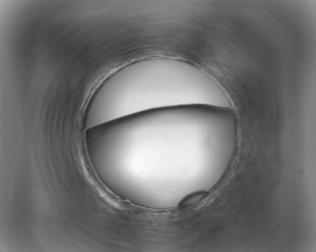 X0000082720049200701261040