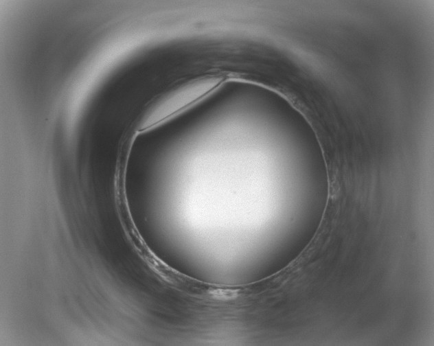 X0000082720052200701261040